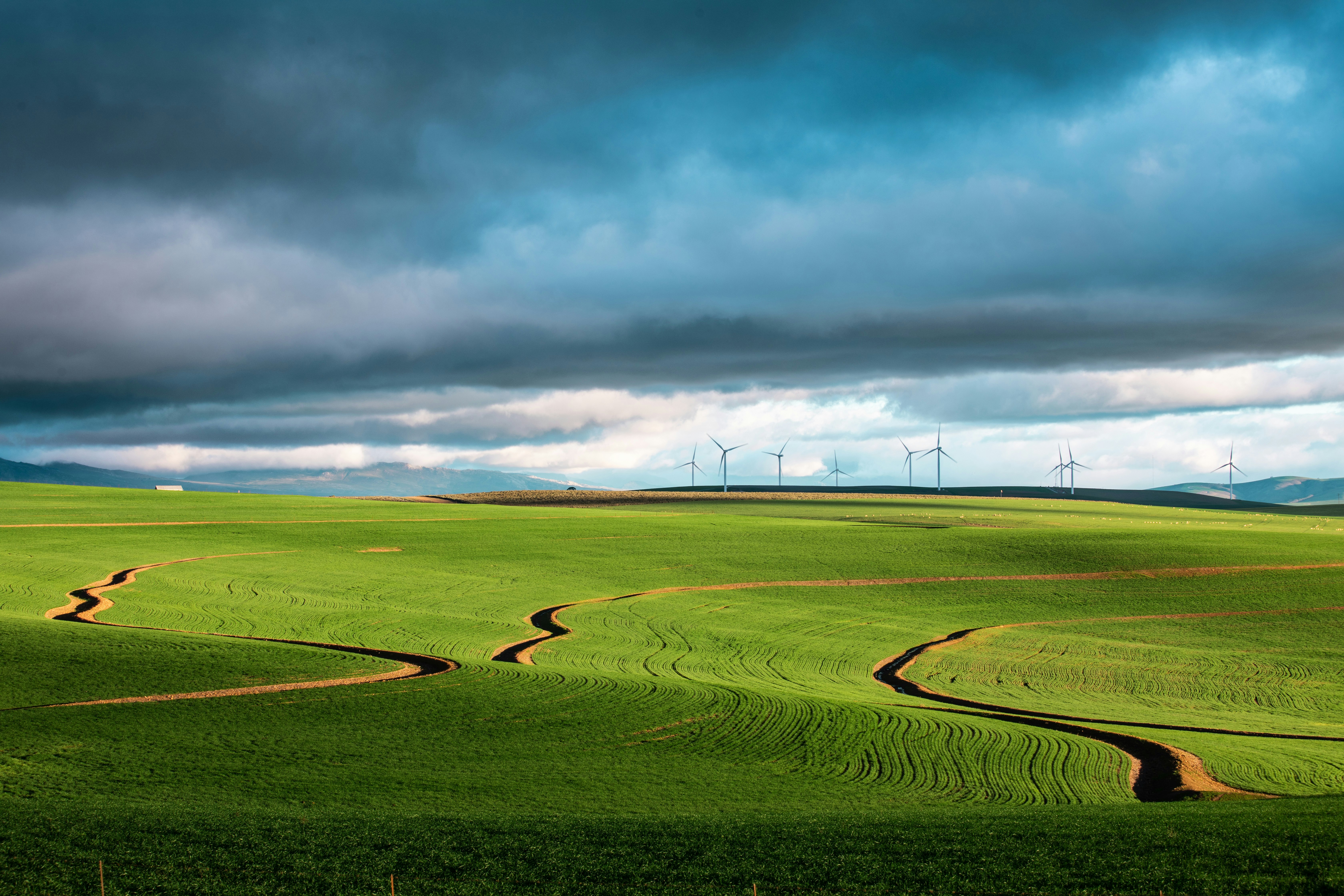 green grass field under cloudy sky during daytime